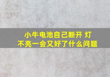 小牛电池自己断开 灯不亮一会又好了什么问题